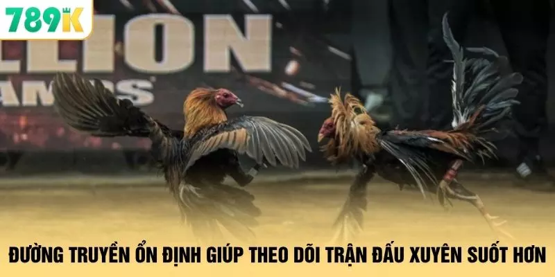 Đường truyền ổn định giúp theo dõi trận đấu xuyên suốt hơn