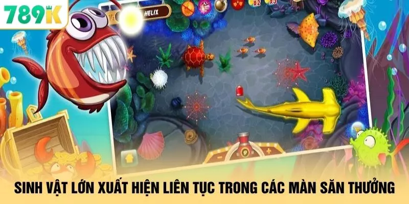 Sinh vật lớn xuất hiện liên tục trong các màn săn thưởng